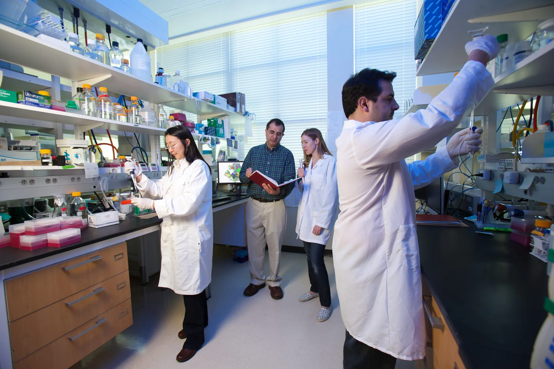 lab